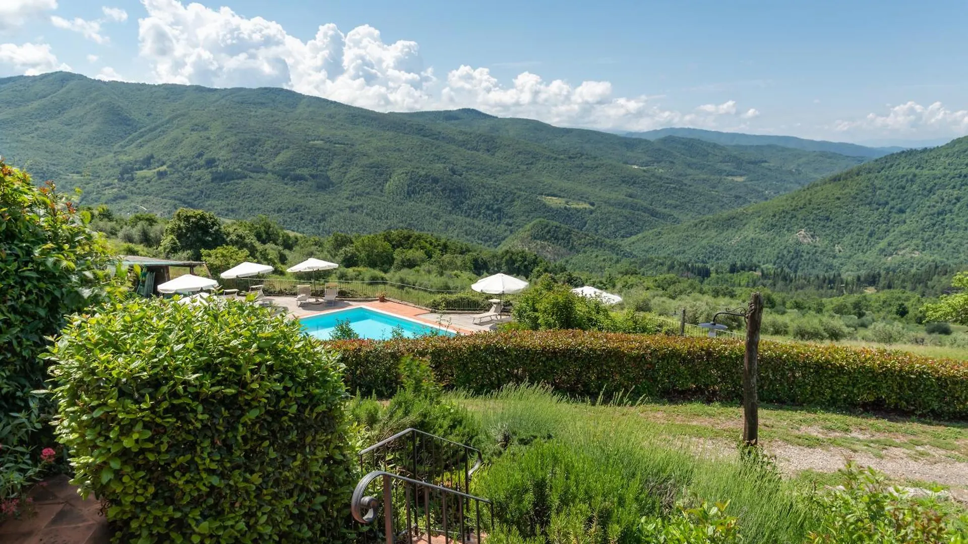 Universal Harmony - Pettirosso Villa Dicomano